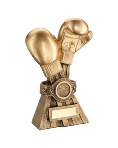 Boxing Glove Award Trophy Boxing Award Trinket Home Decor 